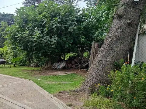 Casa 4 amb Quinta Venta-Ricardo Rojas-Lote 1260 m2