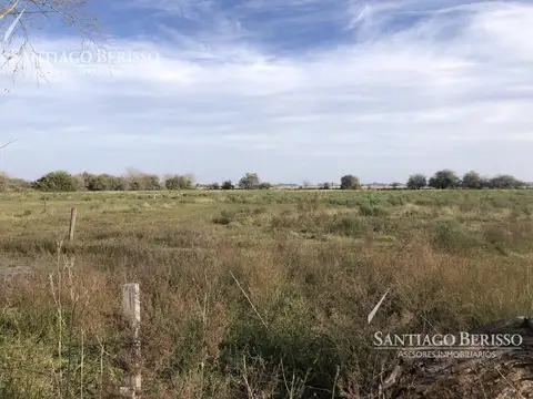 Agrícola. Zona industrial.