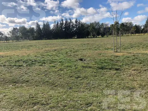 Terreno en Venta 50  mts Fondo