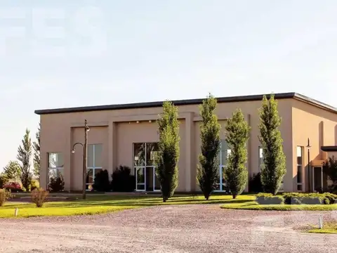 Juan Pablo II al 1600. Fincas de San Vicente.