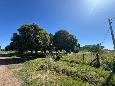Terreno en Venta en Manuel Ocampo, USD 9.000