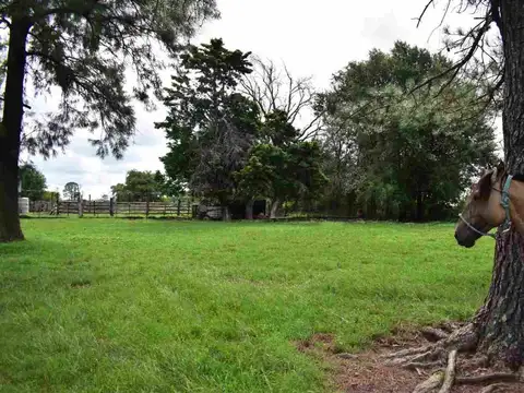 Campo en Exaltación de la Cruz de 75 ha, con casco
