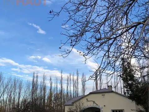 Chacra 21ha, en Mainque