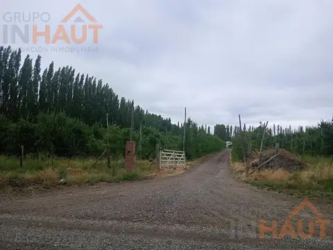 Chacra 21ha, en Ingeniero Huergo