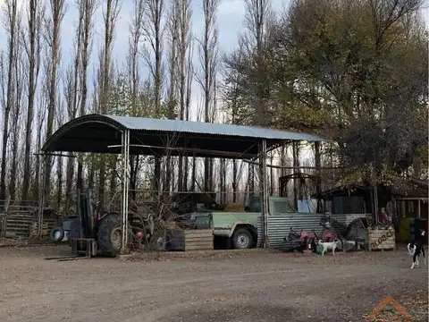 chacra en Mainque