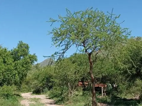 Terreno en Venta en Capilla del Monte, USD 75.000