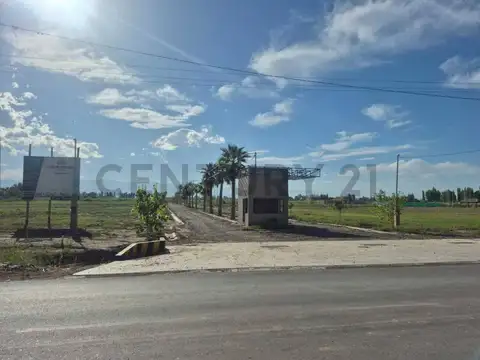 Serpa 7000, Piso 0