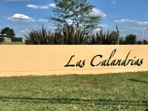 Las Calandrias Ruta 4