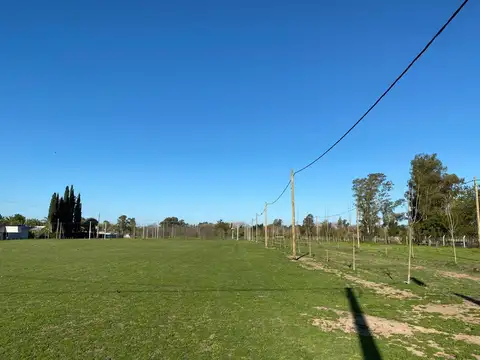 Terreno - Venta - Argentina, Lobos