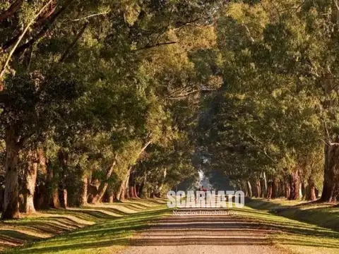 Terreno en Venta de 3350,0 m2