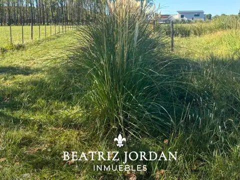 Terreno en Venta en La Macarena, USD 220.000