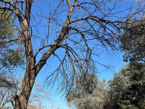 NOE. Venta lote en  Barrio Parque Exaltación, Exaltacion de la Cruz