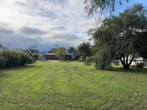 manzana 16 100