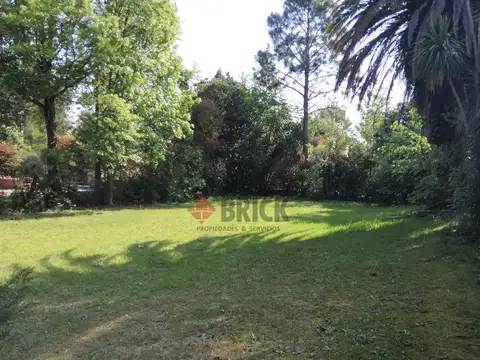 Country Club Golfers