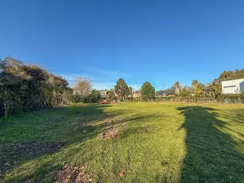 Haras del pilar la pradera 100
