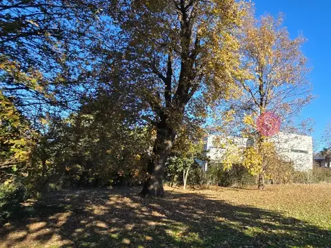 Terreno en Venta de 800,0 m2