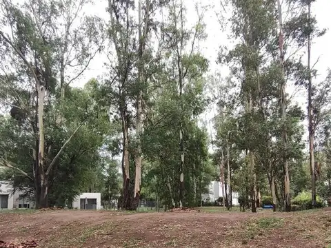 Terreno en Venta en Villa Maria, USD 50.000