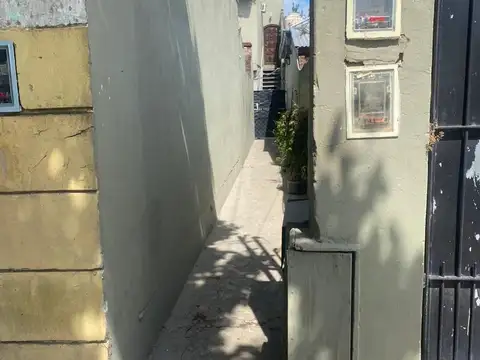 Telemaco Sussini 1100