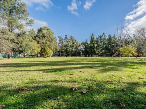 Terreno en Venta 60  mts Fondo