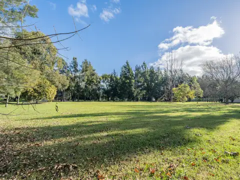 Terreno en Venta 46  mts Frente