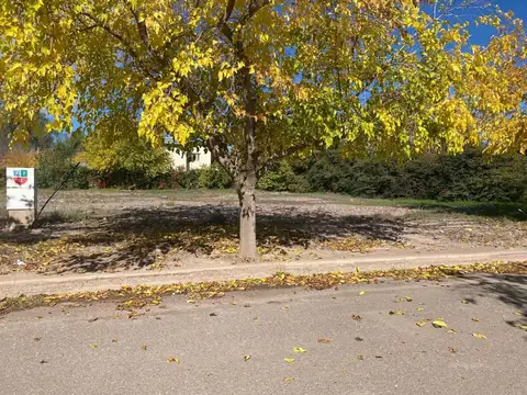 LOTE EN VENTA EN BARRIO LA VACHERIE