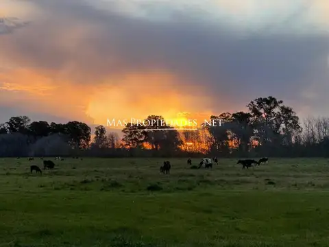 Terreno en Venta en Cañuelas, USD 289.000