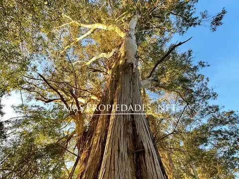 Terreno en Venta 326  mts Fondo