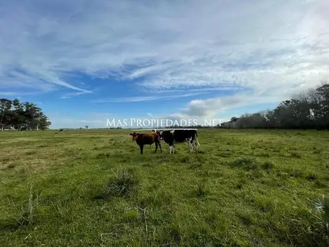 Venta Terreno / Lote en Cañuelas