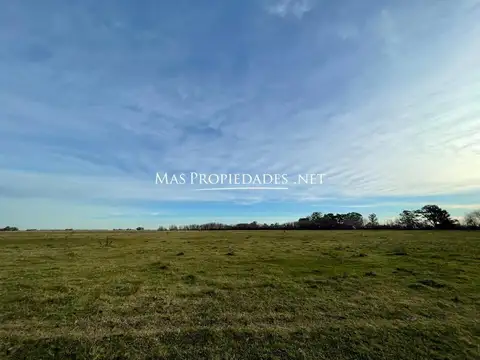 Venta Terreno / Lote en Cañuelas