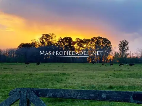 Venta Terreno / Lote en Cañuelas