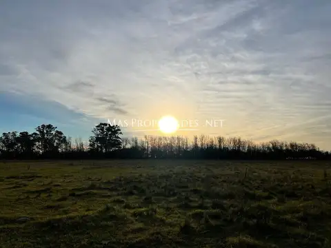 Terreno en Venta 318  mts Frente