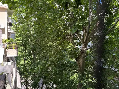 LAPRIDA 1900, Piso 6