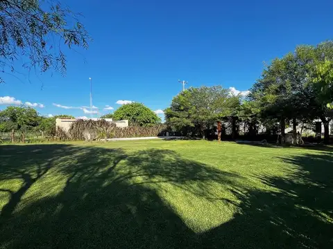 LOTEO LAS MARGARITAS