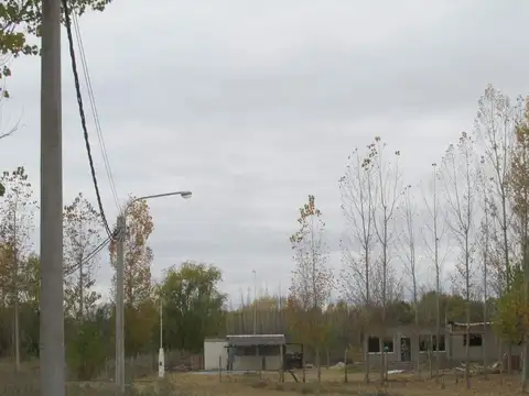 Venta Terreno 1000 m2 en San Carlos Valle de Uco