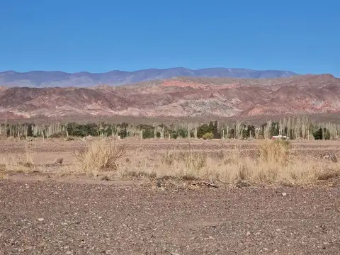 HIPOLITO YRIGOYEN, LOTE C 100