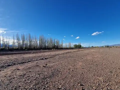 FINCA 8,26 HA APTO DESARROLLO INMOBILIARIO BARREAL