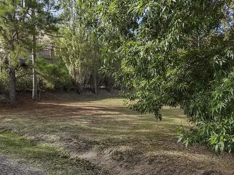 La Codorniz