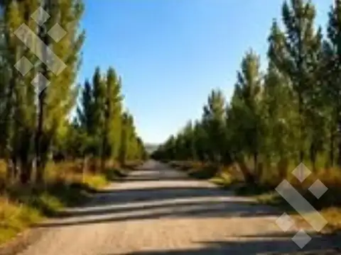 Loteo Don Federico, Ruta 65, Allen