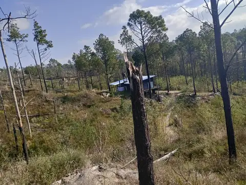 Terreno en Venta de 3132,0 m2