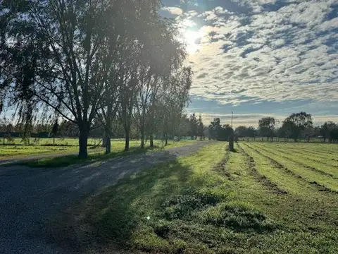 Terreno en Venta en Manzanares, USD 35.640