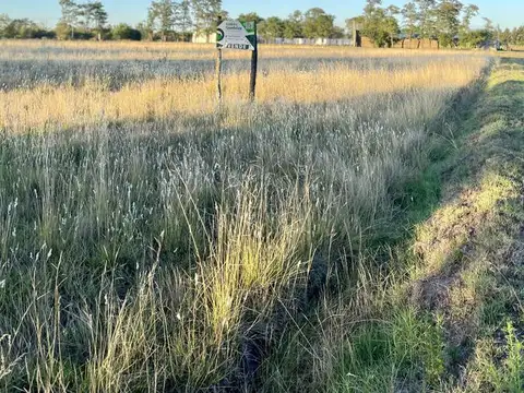 Terreno en Venta en Roque Perez, USD 29.000