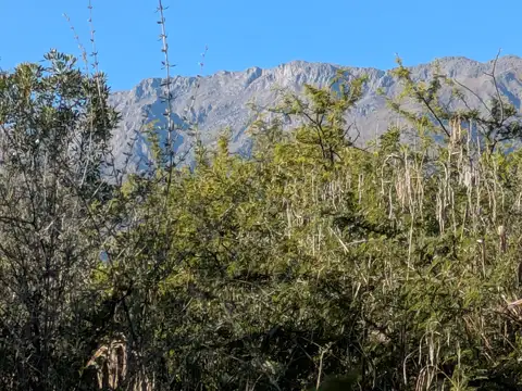 San Javier, Cordoba