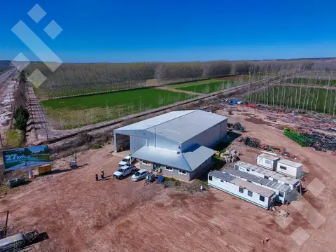 ALQUILER | Galpón 600 m2 con Oficinas en TRATAYEN, sobre 1.5 ha, Neuquén
