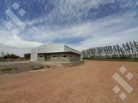 Galpón en Alquiler en Neuquen, Confluencia