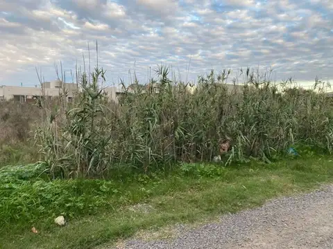 Terreno en Venta de 360,0 m2