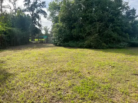 Terreno - Francisco Alvarez