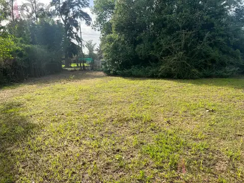 Lorenzo Lopez 300