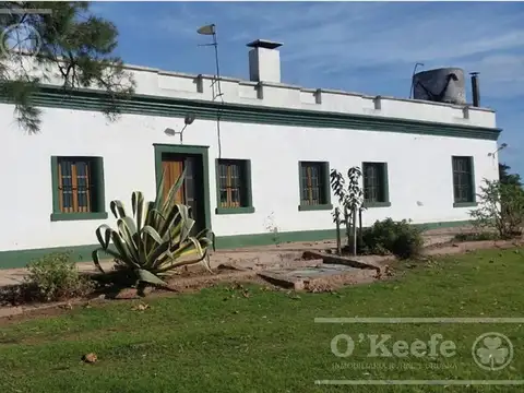 Campo en venta de 3000 has Uruguay