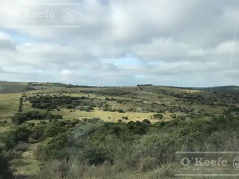 Campo en venta de 3000 has Uruguay