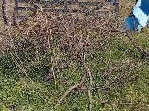 Campo en Venta de 19  ha
